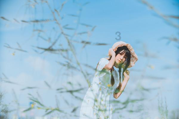 宋振宇:一年三倍者众,三年一倍者寡